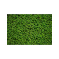 Outdoor and Indoor Rug Moss