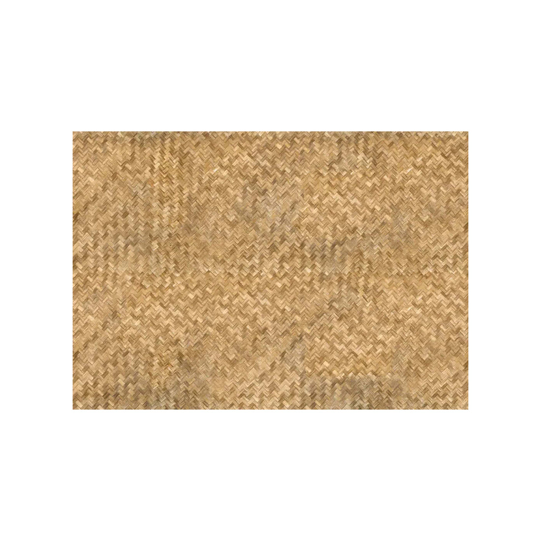Outdoor and Indoor Rug Rattan