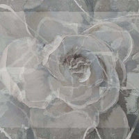 Tappeto Indoor Rosa Bianca con design floreale elegante in tonalità grigie e bianche per interni.